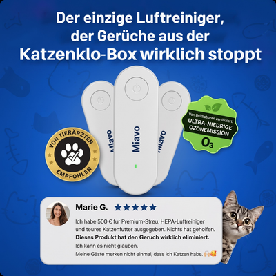 Geruchsfilter